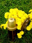 DSC01012