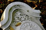 DSC01032