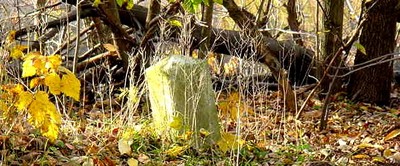 DSC01036