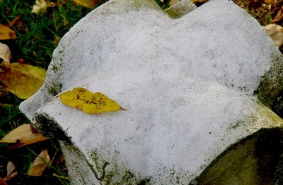 DSC01037
