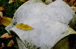 DSC01037