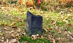 DSC01039