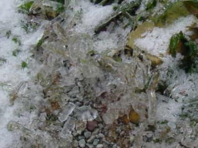 DSC01121