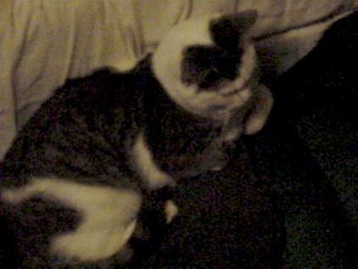 DSC01127