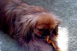 DSC00554.JPG