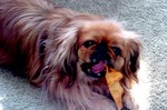 DSC00555.JPG