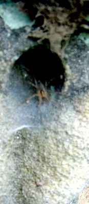 DSC00760.JPG
