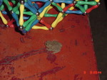 DSC01180