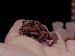 DSC01191