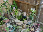 bin pond setup 01