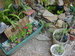 landscaping near bin pond 