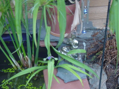 bohdisattvha on a ledge 