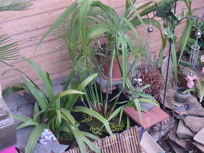 bin pond 2 view 