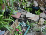 both bin ponds and some landscaping 