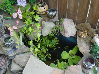 Bin Pond 1 again 