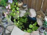 Bin Pond 1 again 