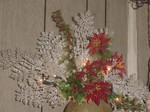 DSC00644.JPG