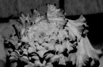 DSC00697.JPG