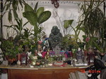 DSC00969