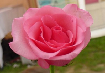 DSC01011