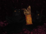 DSC02059