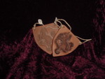 DSC02060
