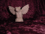 DSC02072