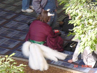DSC00559