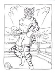 boxingtiger