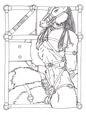 Remisbondage