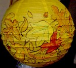 DSC01084