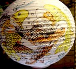 DSC01572