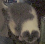 DSC00608