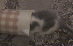 DSC00609