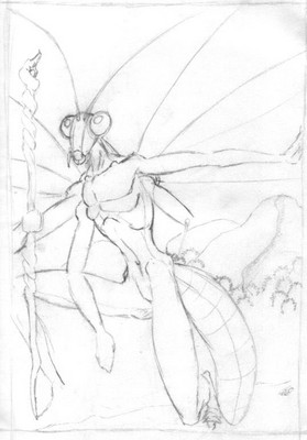AS Mantis