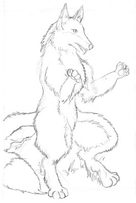 Foxsketch