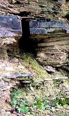 Batch 1 032.jpg
